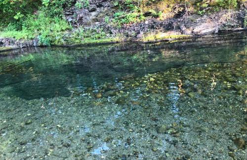 Liberty Cabin on Collier Creek - Foto 47