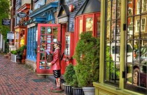 THE LIBERTY HOUSE Of Old Town Designer Home - Foto 61