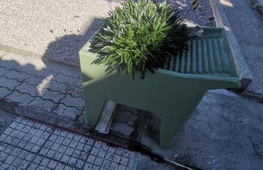 Casa da Praia Alfarim - Foto 19