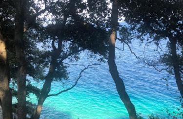 Apartment Aurora - Foto 25