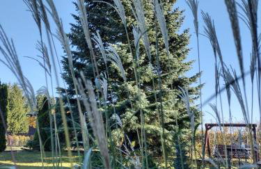 Siedlisko Jelonki - Foto 1