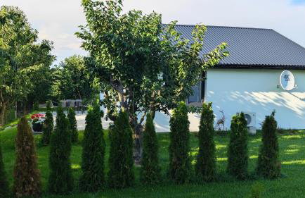 Domki w Winnicy - Świętokrzyska Winnica Knapów - Foto 49