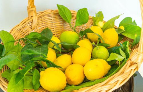 Villa Lemon Garden - Apartment in Dubrovnik - Foto 38
