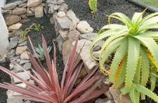 Casa Olisa - Foto 11