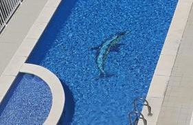 Superbe appartement - Photo 11