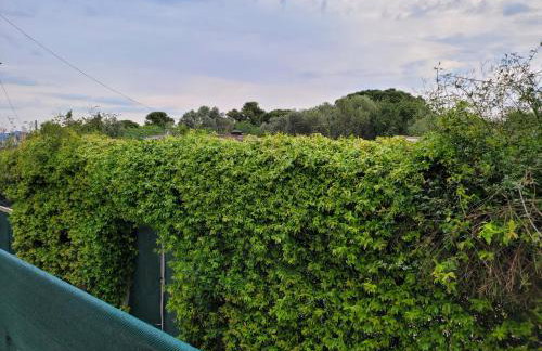 Green House Marathon - Greece - Foto 38