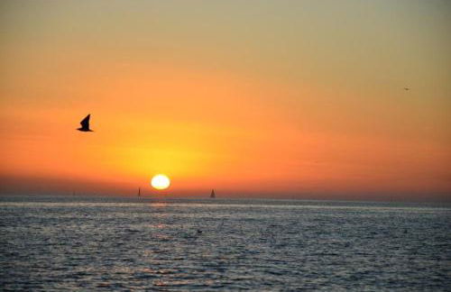 Anc14 Apartamento con 2 habitaciones, patio y piscina al lado de la playa - Foto 15