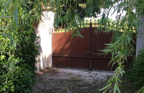 The Willow Tree - Photo 27