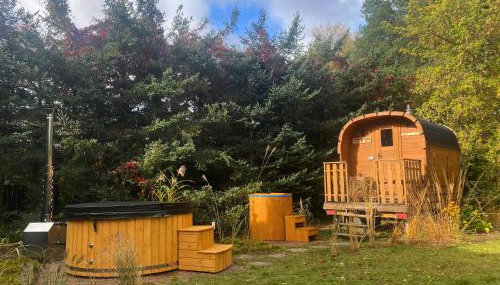 Szeroki Bór oaza w Puszczy z Sauną, Banią i Jacuzzi - Foto 2