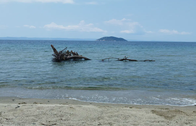 Thessaloniki: Neos Marmaras Day Trip with Beach Time - Photo 6
