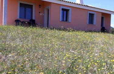 agriturismo gli olivastri, appartamento la rosa dei venti con piscina e solarium , vista mare ,climatizzatore ,wifi - Foto 7