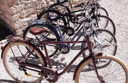 Gite Le Clos Sainton - Photo 20