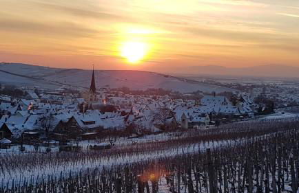 Apartment Weinbergglück - Foto 25