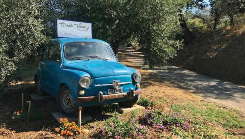 Appartamento Olivo - Foto 3, Garden