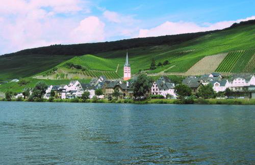 Ferienwohnung am Moselufer - Foto 31