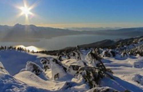 Douglas Island A-frame Cabin in the woods - Foto 29