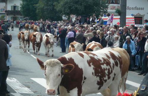 Gästehaus Alpvital - Foto 20