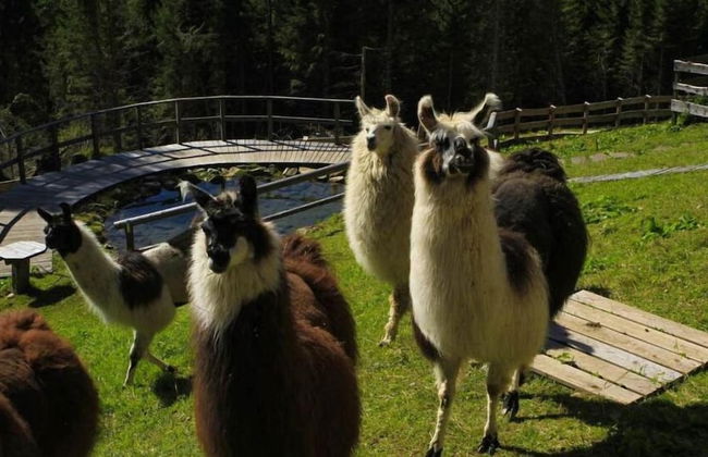 Chalet nel Doch - Foto 47