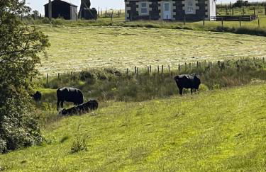 Williamsfield Cottage - Foto 35