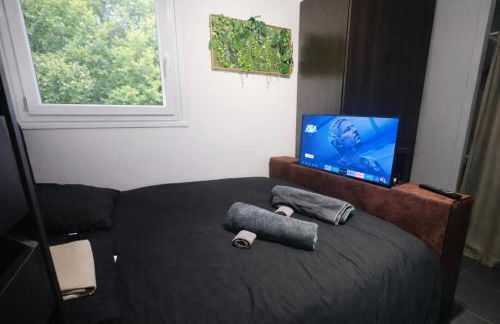 Appt Cosy Porte Paris parc Fleural et Parking - Foto 25