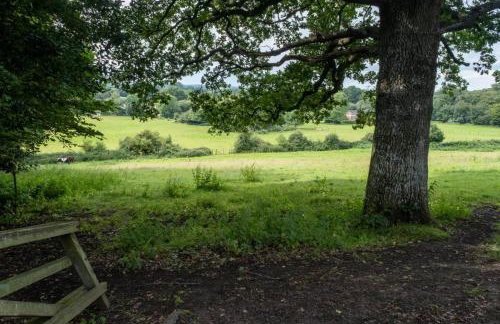 Little Patch - Foto 7