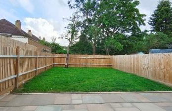 Phlox Garden - Foto 55