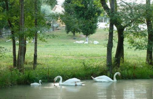 Luxurious private 100sqm studio with infinity pool - Foto 15