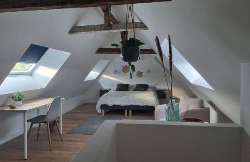 Chez Clément et Mathilde -Duplex climatisé Hyper centre , tout équipé - Foto 17