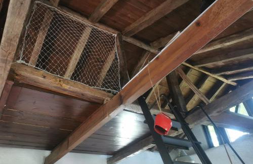 Dendrocopos Medius - Photo 19