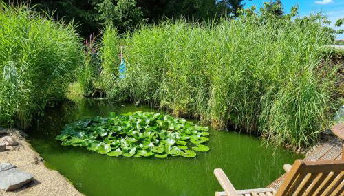 Ferienwohnung Schorfheide Krüger - Foto 3