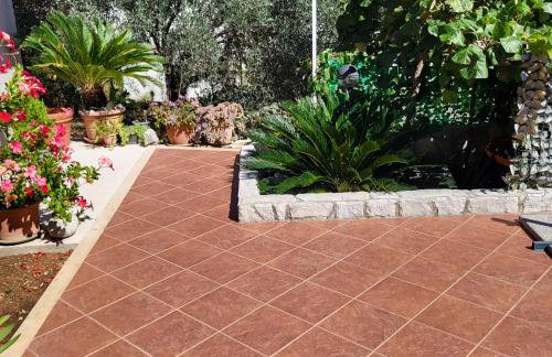 Apartments Miovic - Photo 8