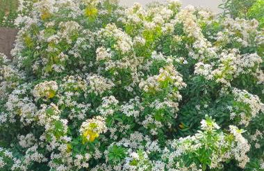 Bienvenue à PARIS - Appartement confortable, grande terrasse privée au calme, parking gratuit - Foto 18