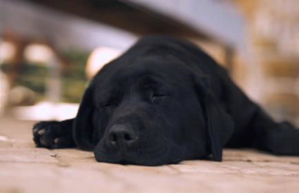 Casa Margarida, Quinta Carmo - Alcobaça - Nazaré - Foto 21