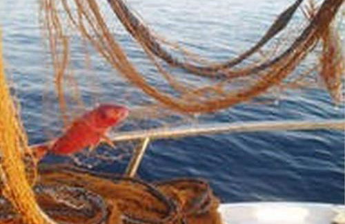 Apartments Vera - Comfort One-Bedroom Apartment with Terrace and Sea View Irena - Foto 24