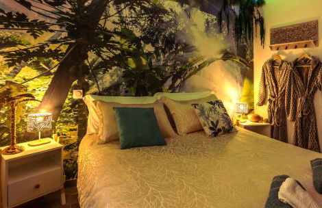 Jungle Spa - Cocon tropical et dépaysant avec balnéo en plein coeur de Pézenas ! - Foto 16