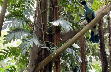 Horizon Haven Beachfront Escape - Foto 43