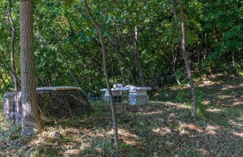 Vinodol hilltop Vila 21 - Foto 18