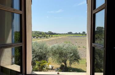 Les Coquettes - Foto 7