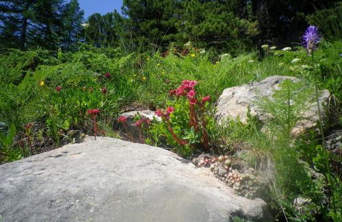 Exceptionnel - En bordure de pistes et skis aux pieds - PELVOUX II - VARS - Foto 37