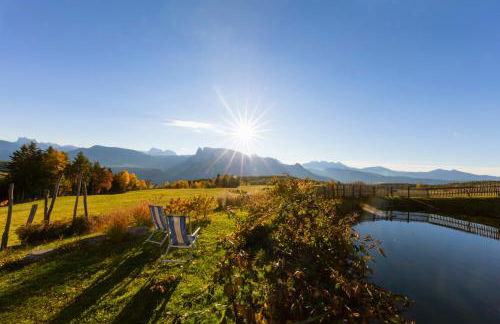 Unterpfaffstall-Hof - Foto 72