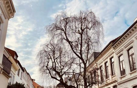 Zentrales und sehr ruhiges Apartment im beliebtesten Bremer Viertel - Foto 14