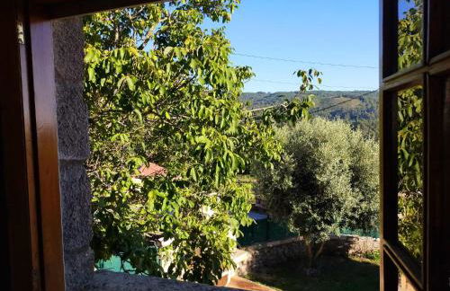 LA CAMELIA - Foto 29