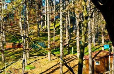 La Terrazza di Filomena - Picinisco, Parco Lazio & Abruzzo - Foto 12