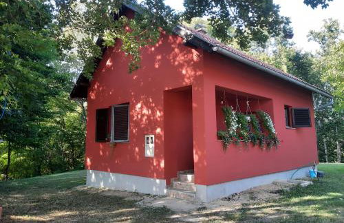 Kuća za odmor Cordon - Foto 1