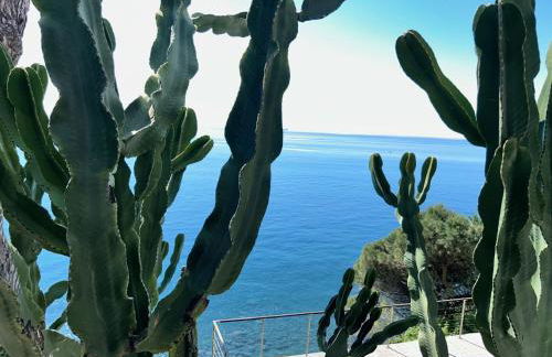 LIle dAzur - Foto 37