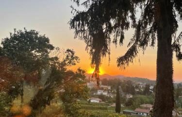 Vite in Rosa La Casetta - Foto 29