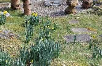 Our Log House in the woods - Photo 27