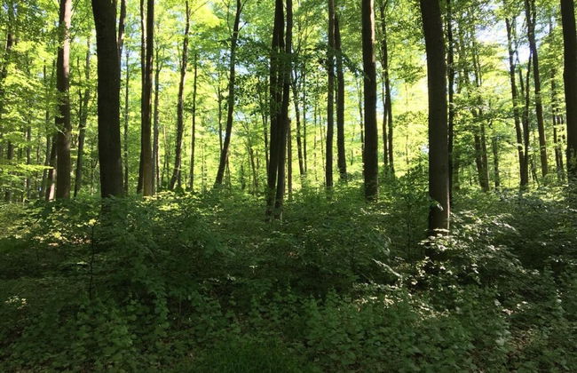 Cozy Apartment in Ellar With Garden - Foto 55