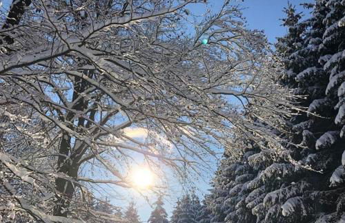 Ferienhaus "Am Gehre" - Foto 47