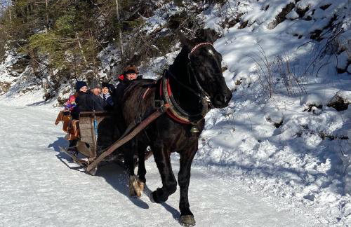Apartament Poleczka Zakopane Kościelisko - Foto 33